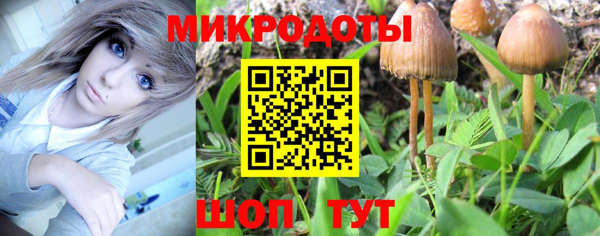 даркнет сайт  Псилоцибиновые грибы Psilocybe  Вход с VPN  Кострома 